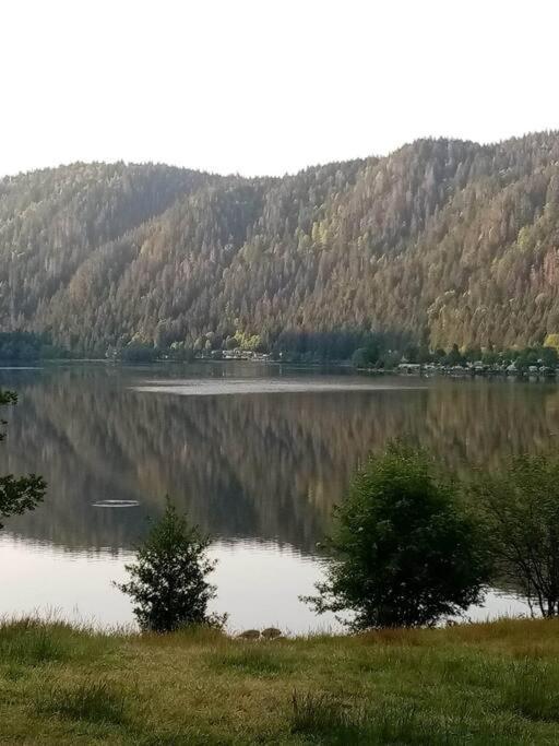 Vacances Xonrupt-Gerardmer Ngoại thất bức ảnh
